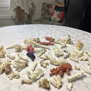 Coral 1 Branch Natural  Lace Decor Aquarium Sea Ocean Decorate 42 pieces. RARE O